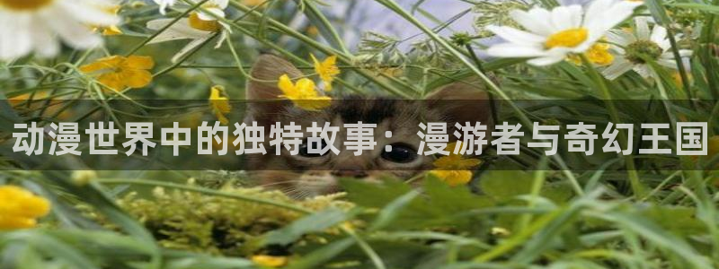 天堂动漫网下载app：动漫世界中的独特故事：漫游者与奇幻王国