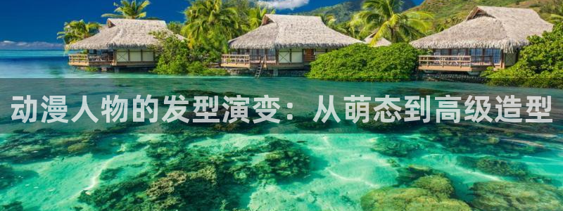 亚洲天堂动漫：动漫人物的发型演变：从萌态到高级造型