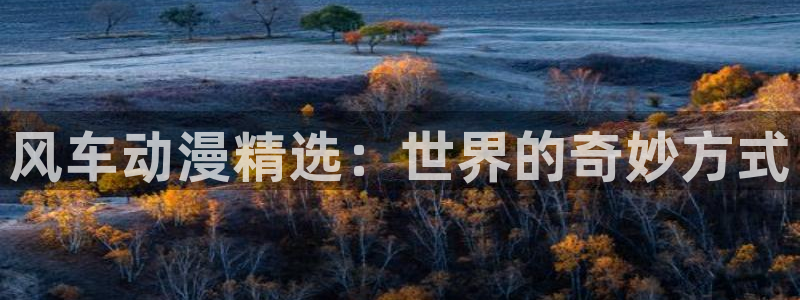 动漫天堂下载1.8版：风车动漫精选：世界的奇妙方式
